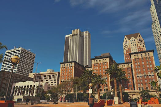 pexels-photo-15426344