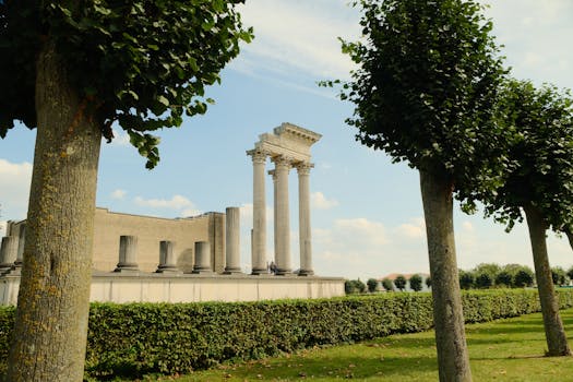 pexels-photo-34429164