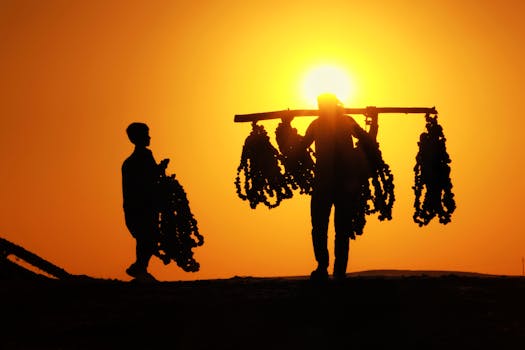 pexels-photo-34395879