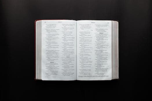 pexels-photo-2294878