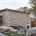 pexels-photo-24031659