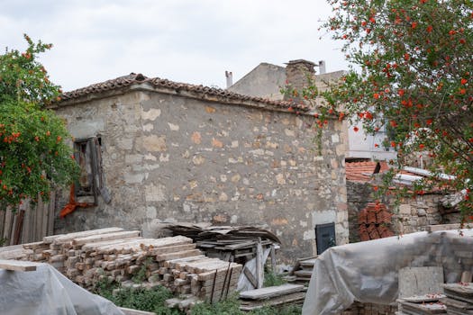 pexels-photo-24031659