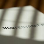 pexels-photo-2565226