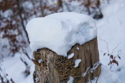 Decoding the Digital Stutter: Why Does My PC Randomly Freeze?