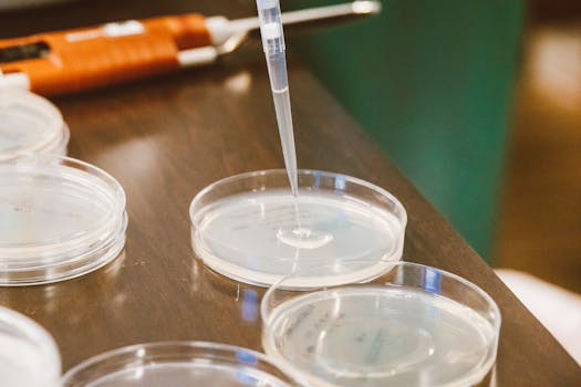 pexels-photo-9259965